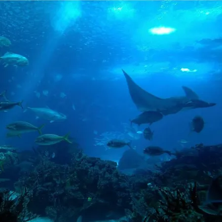 El Aleph * La Restinga